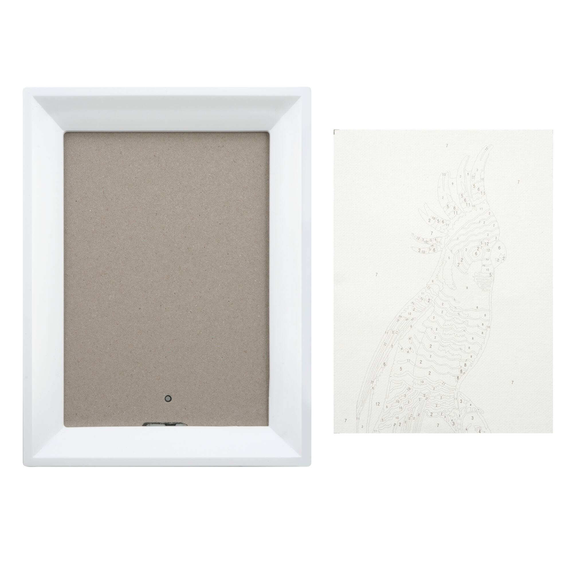 Jonathan Adler x Michaels 5" x 7" Cockatoo Paint-By-Number Framed Kit